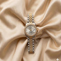 Fern Elegance